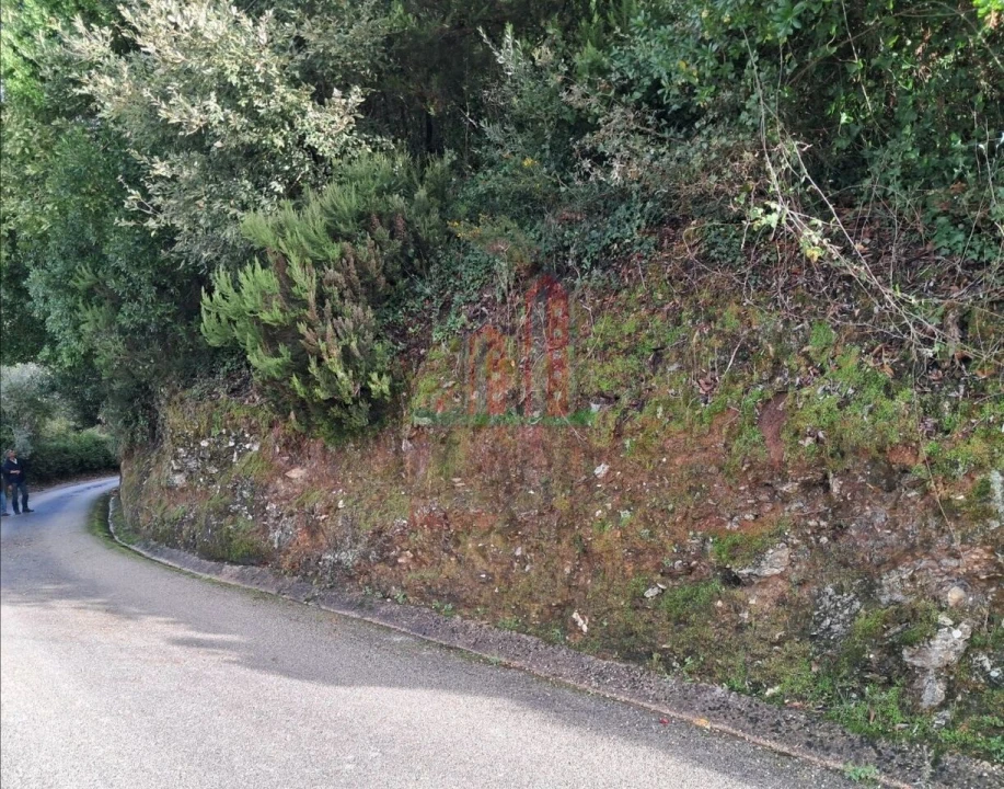 Terreno para Venda em Ceira Foto 8