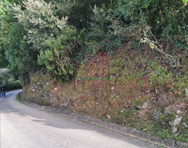 Terreno para Venda em Ceira Foto 8