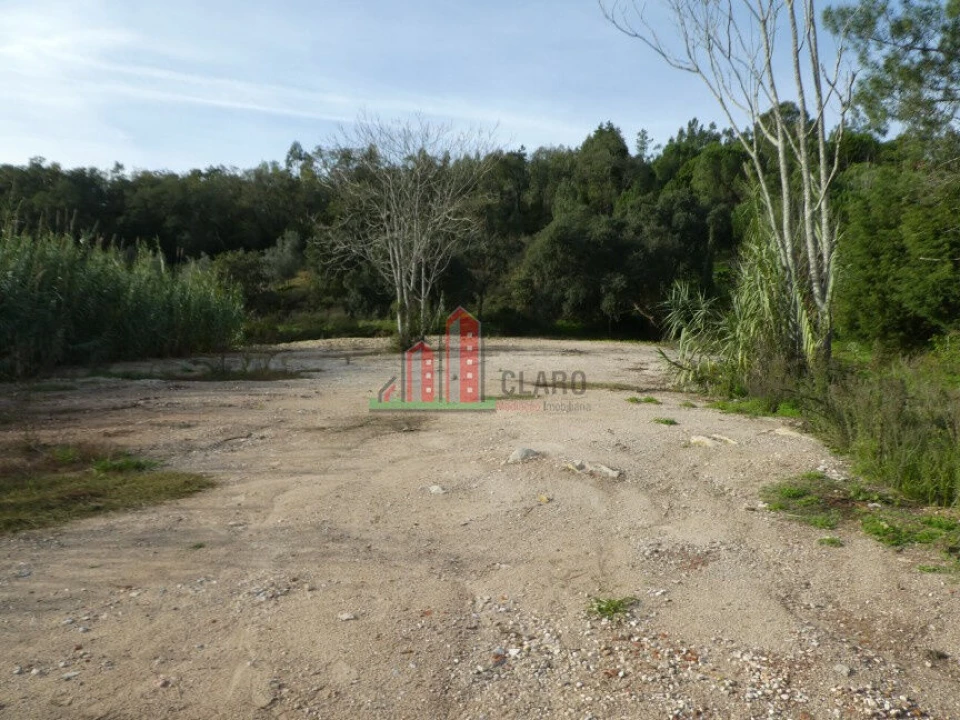 Terreno para Venda em Eiras e São Paulo de Frades Foto 1