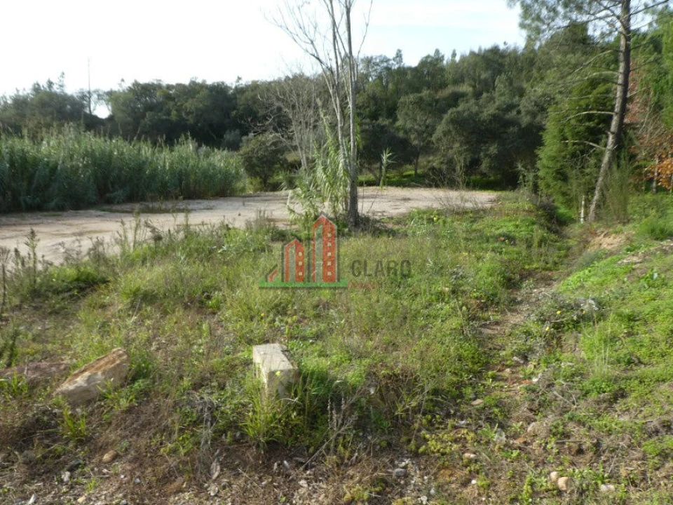 Terreno para Venda em Eiras e São Paulo de Frades Foto 2