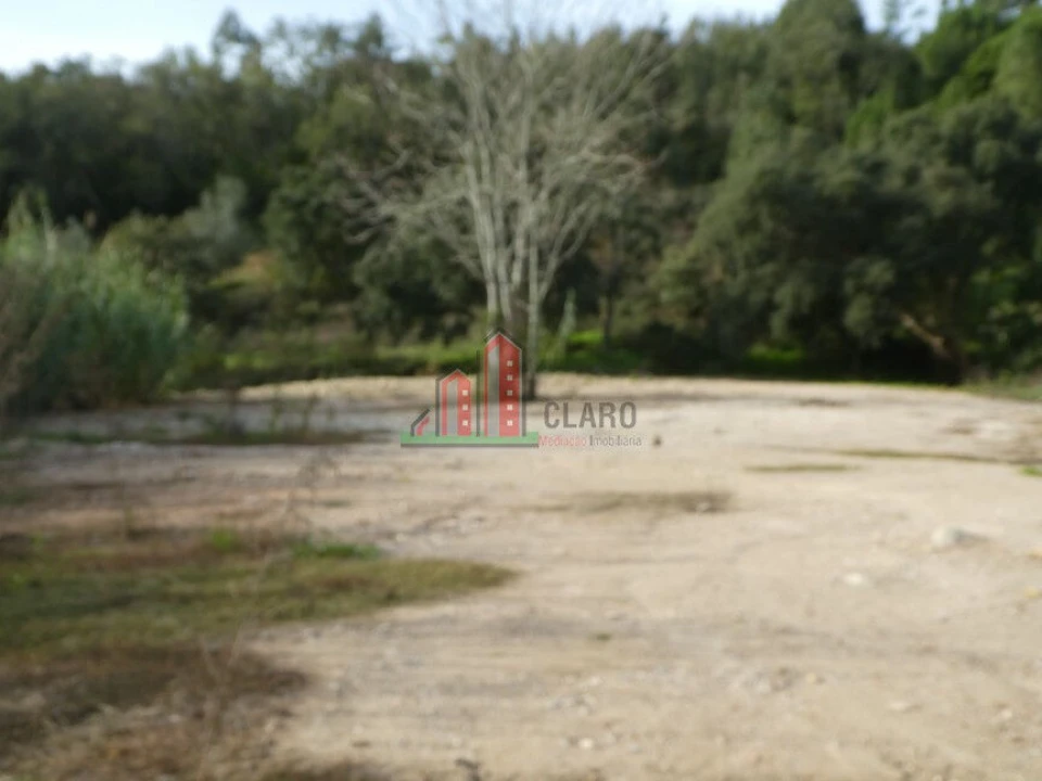 Terreno para Venda em Eiras e São Paulo de Frades Foto 4