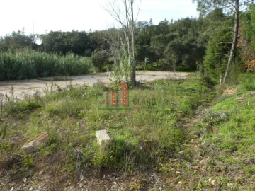 Terreno para Venda em Eiras e São Paulo de Frades