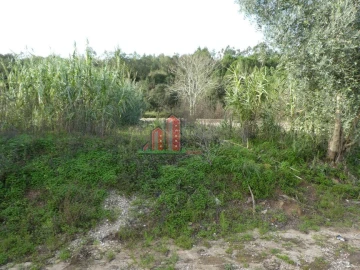 Terreno para Venda em Eiras e São Paulo de Frades