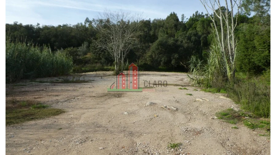 Terreno para Venda em Eiras e São Paulo de Frades