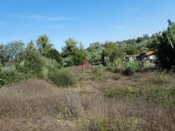 Terreno para Venda em Cernache