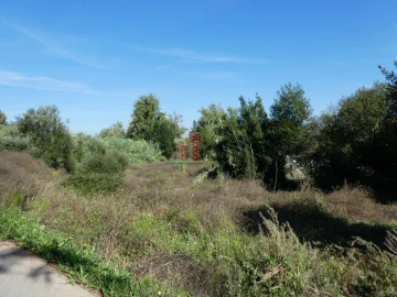 Terreno para Venda em Cernache