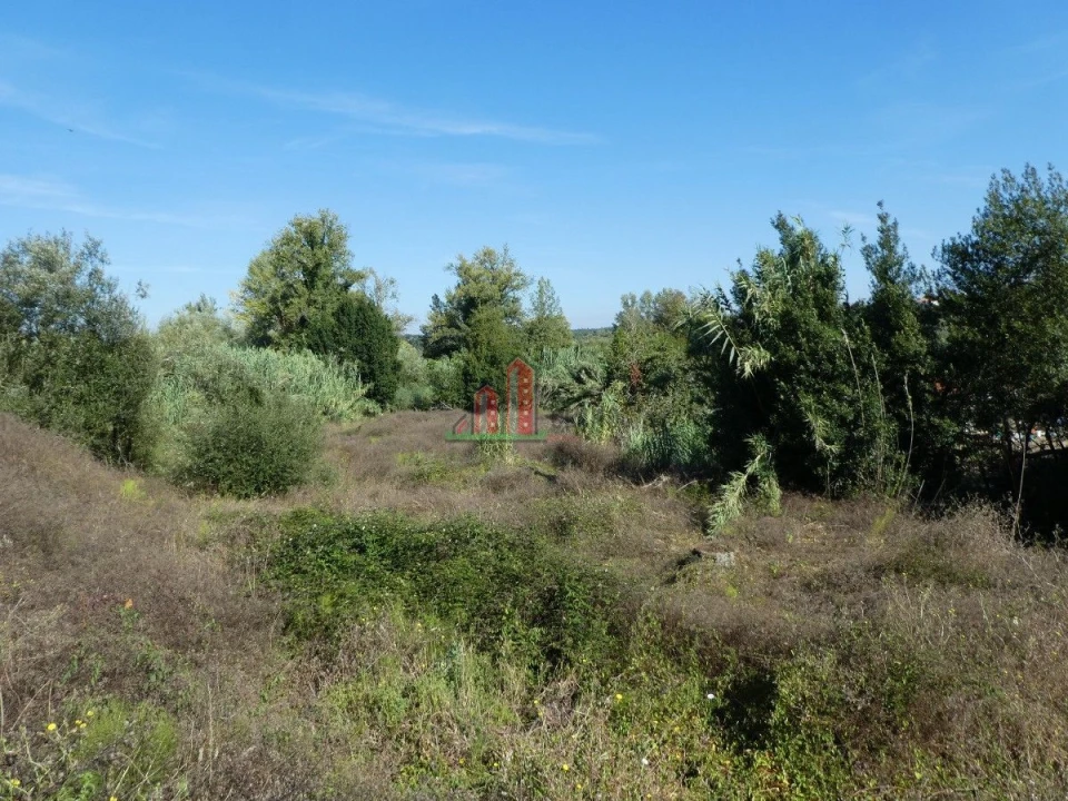 Terreno para Venda em Cernache Foto 10