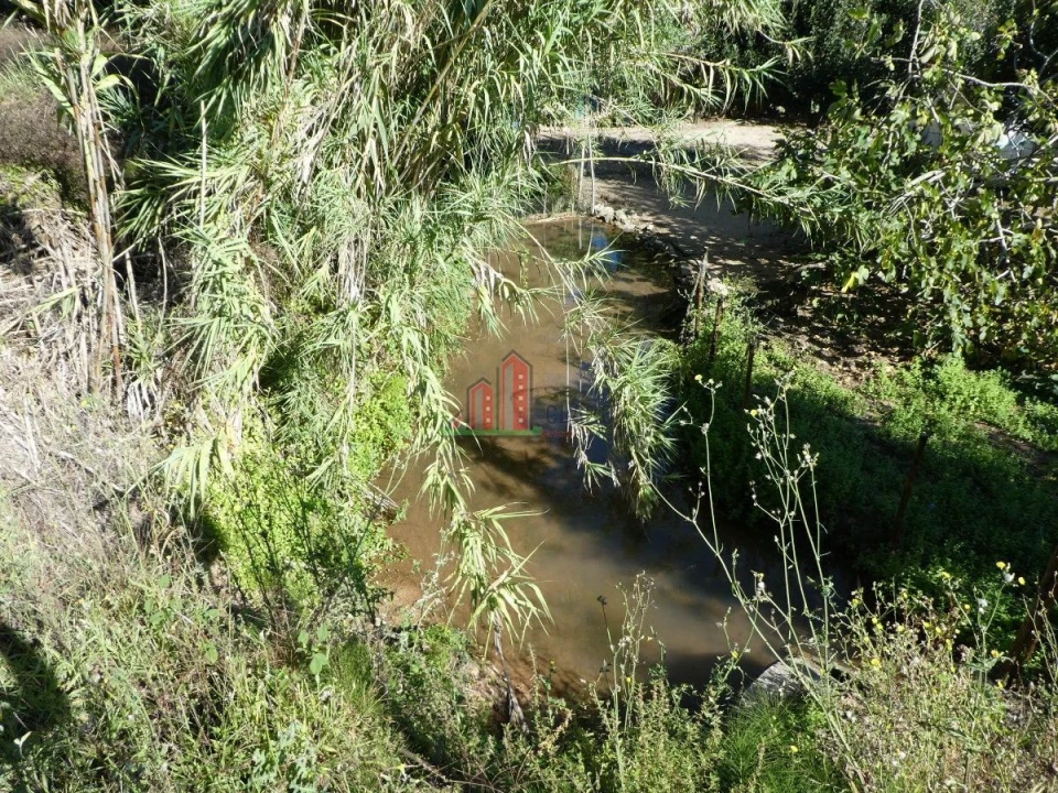 Terreno para Venda em Cernache Foto 5