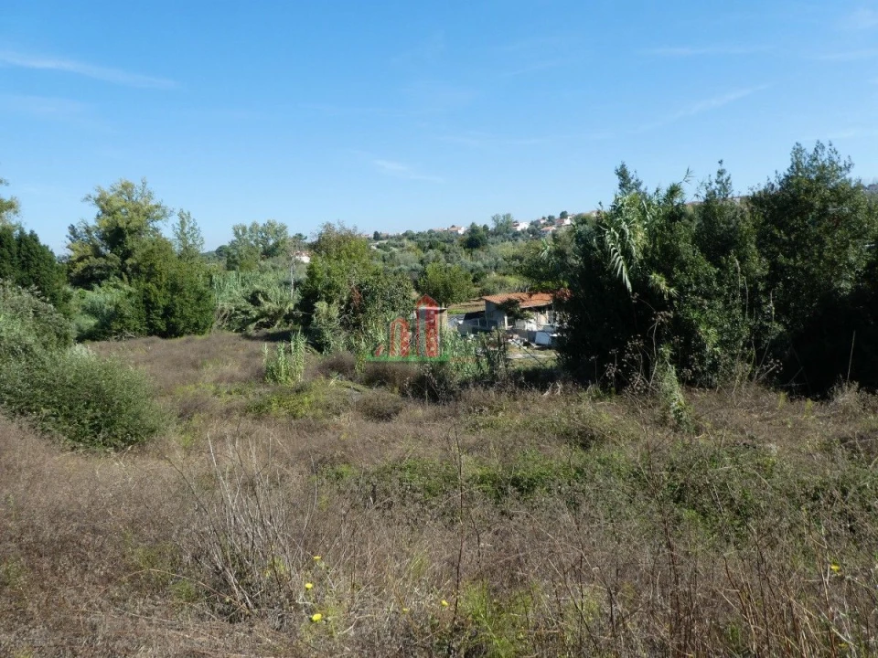 Terreno para Venda em Cernache Foto 12