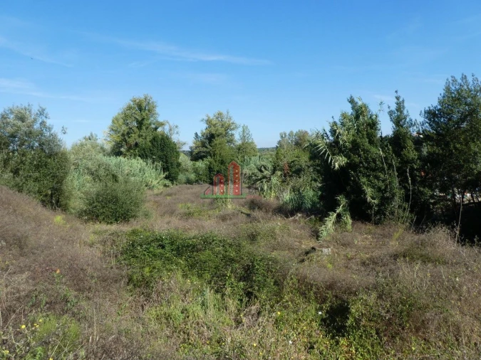 Terreno para Venda em Cernache Foto 10