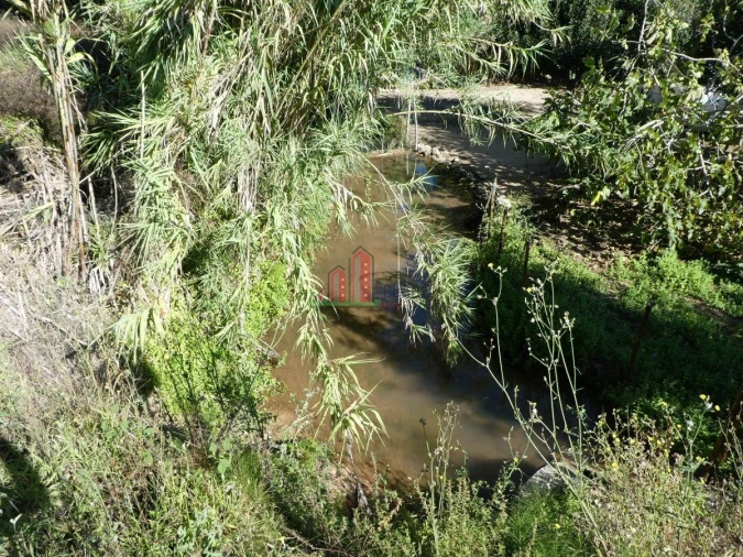 Terreno para Venda em Cernache Foto 5