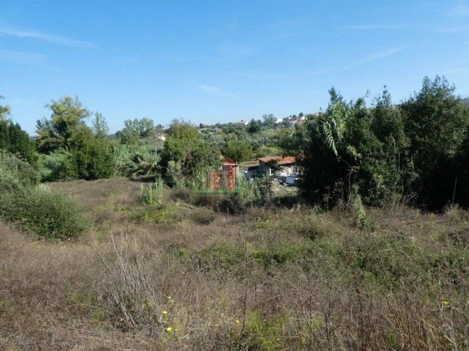 Terreno para Venda em Cernache Foto 12