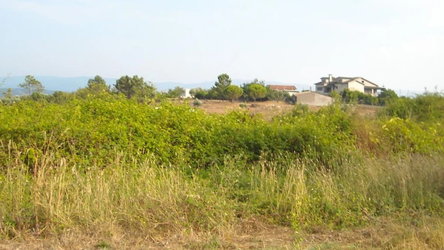 Terreno para Venda em Almalagues