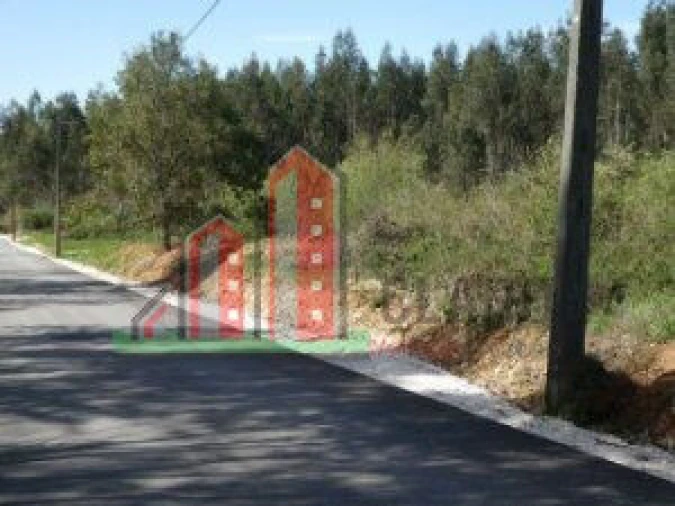 Terreno para Venda em Buarcos Foto 4