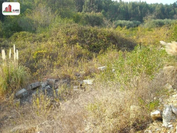 Terreno para Venda em Assafarge e Antanhol