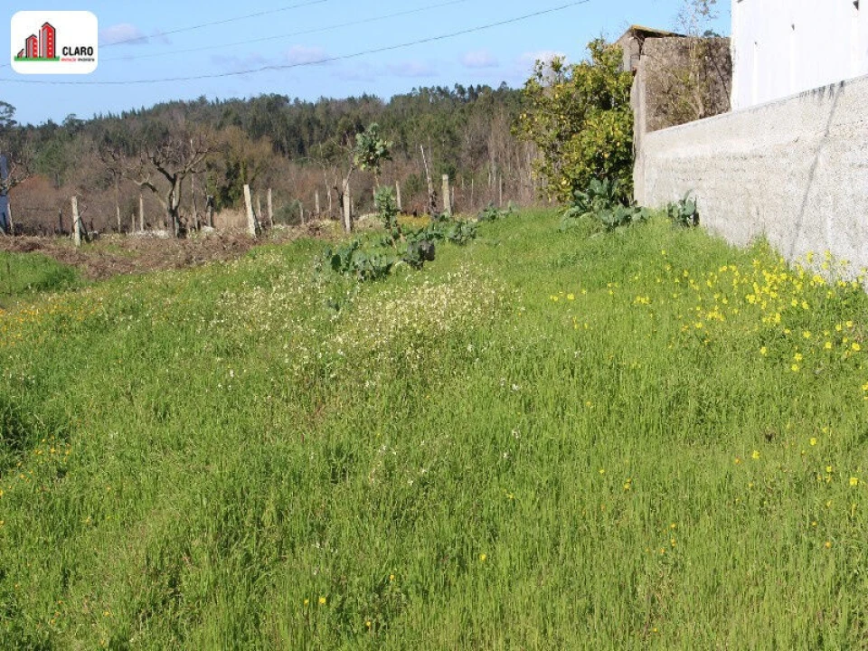 Terreno para Venda em Soure Foto 1