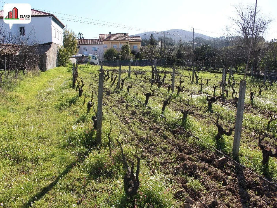 Terreno para Venda em Soure Foto 5