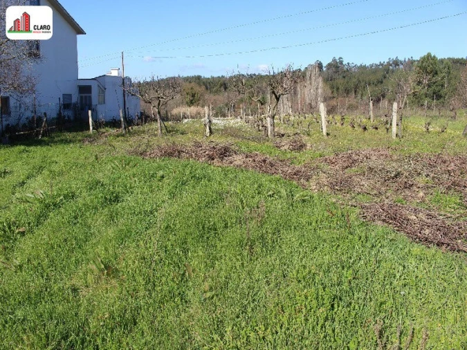 Terreno para Venda em Soure Foto 3