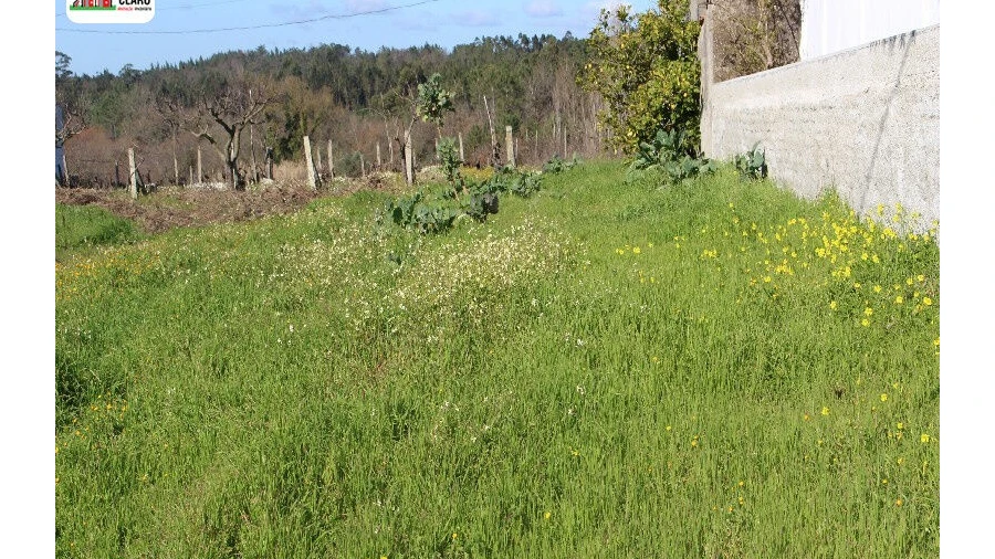 Terreno para Venda em Soure