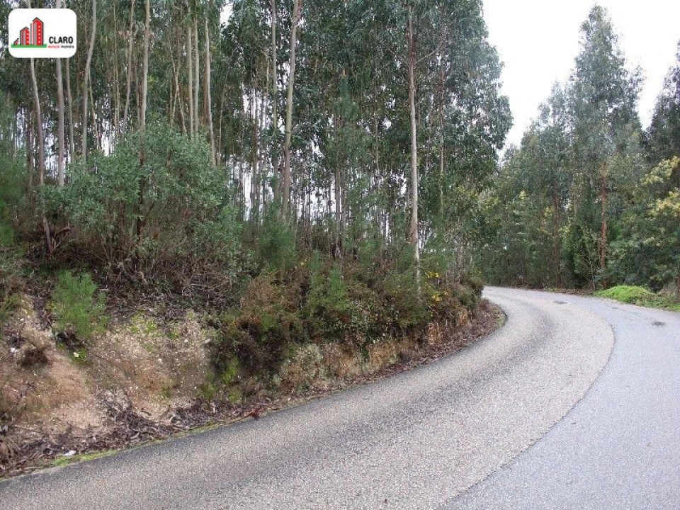 Terreno para Venda em Assafarge e Antanhol Foto 2
