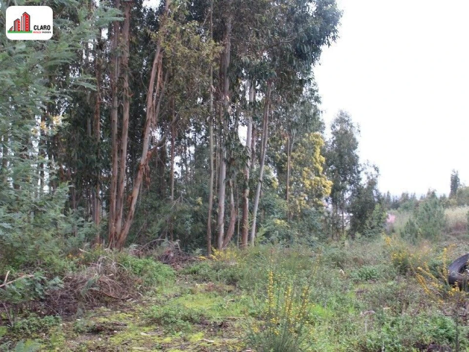 Terreno para Venda em Assafarge e Antanhol Foto 3