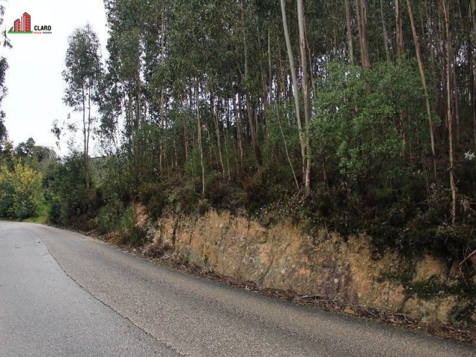 Terreno para Venda em Assafarge e Antanhol Foto 4