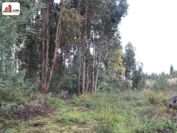 Terreno para Venda em Assafarge e Antanhol