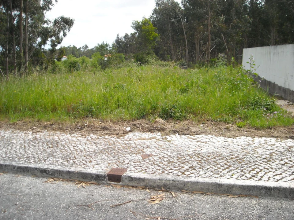 Terreno para Venda em Lavos Foto 3