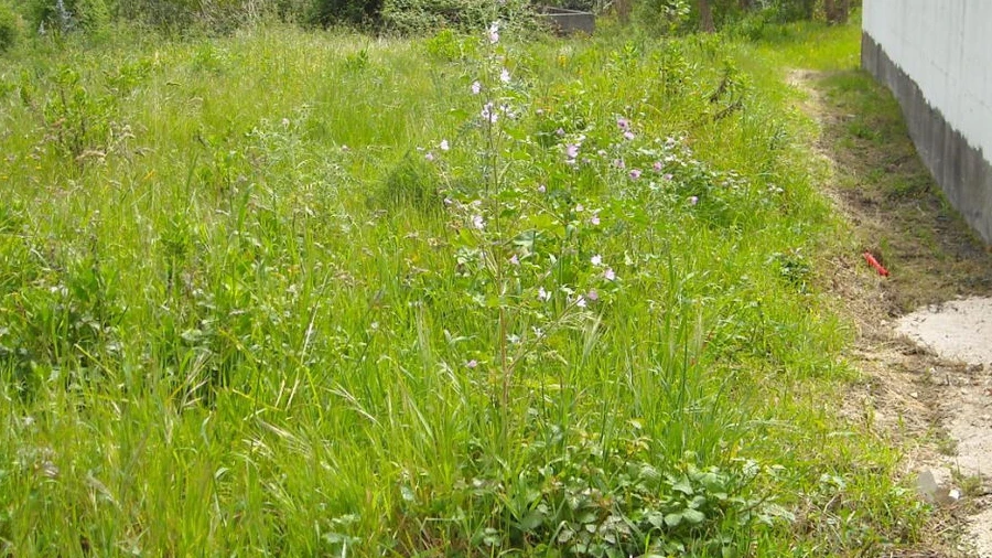Terreno para Venda em Lavos