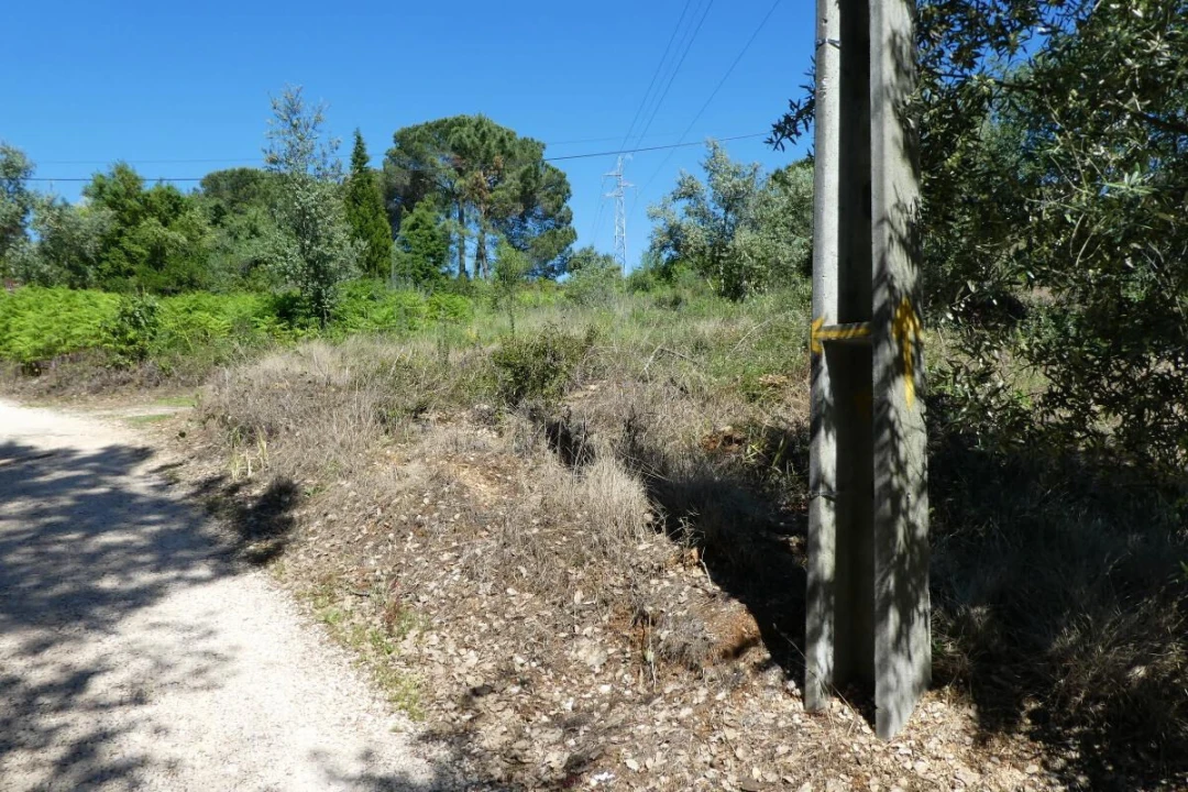 Terreno para Venda em Assafarge e Antanhol Foto 2