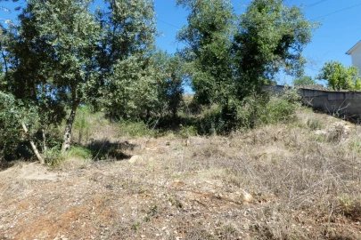 Terreno para Venda em Assafarge e Antanhol