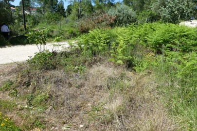 Terreno para Venda em Assafarge e Antanhol