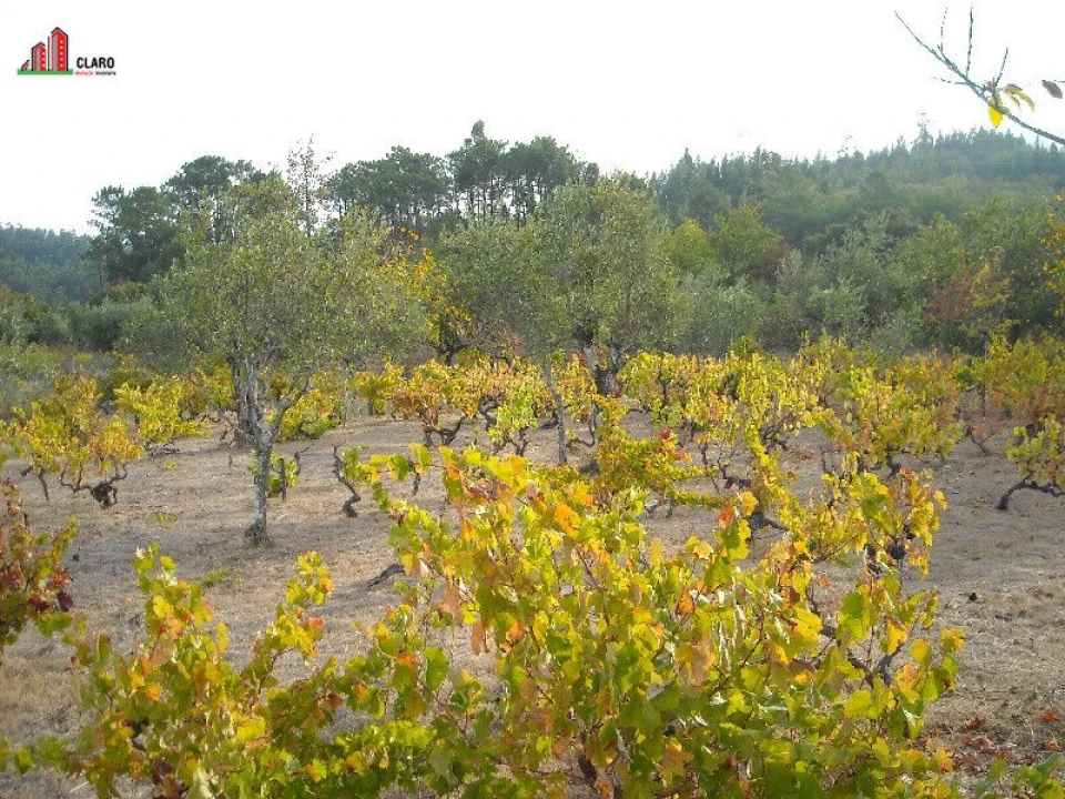 Moradia T3 para Venda em Podentes Foto 17