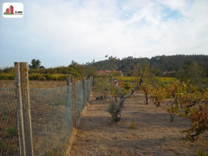 Moradia T3 para Venda em Podentes Foto 18