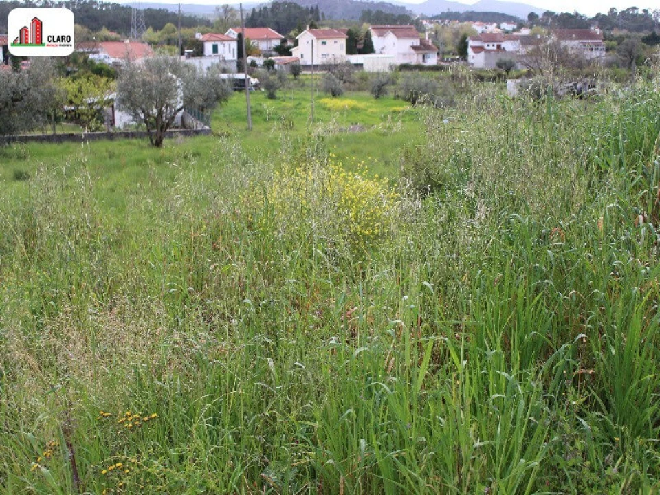 Terreno para Venda em Cernache Foto 1