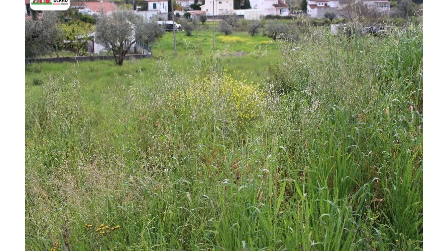 Terreno para Venda em Cernache