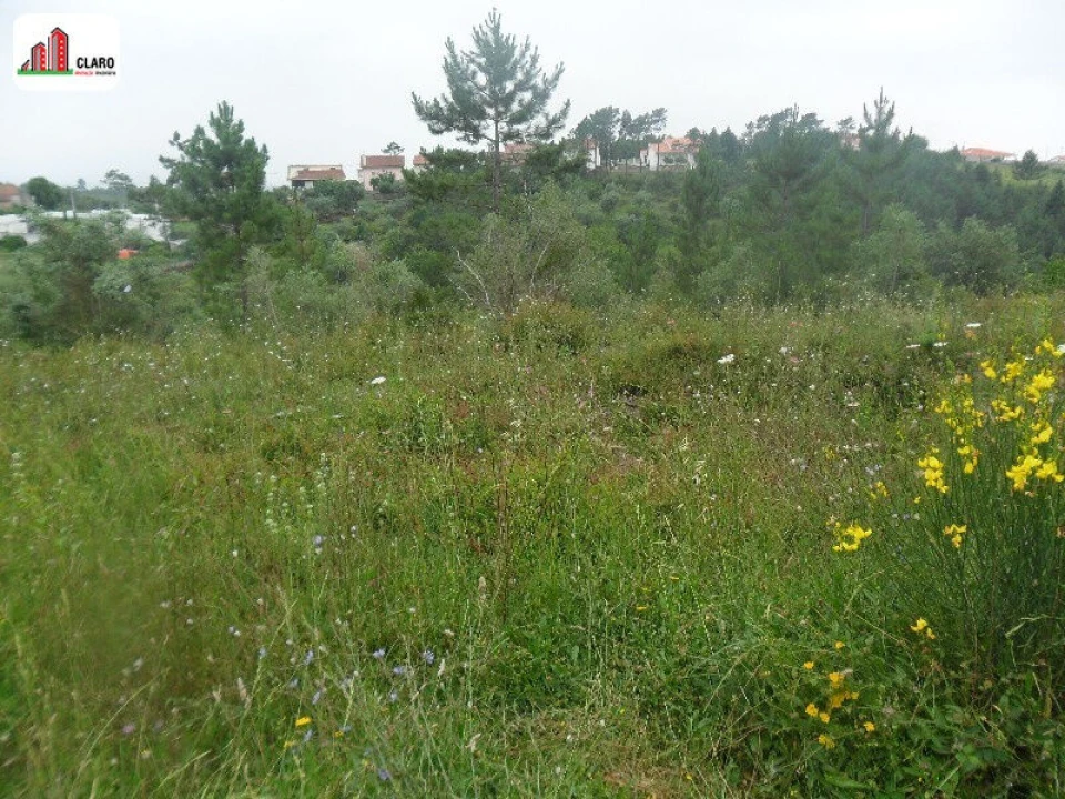 Terreno para Venda em Assafarge e Antanhol Foto 4