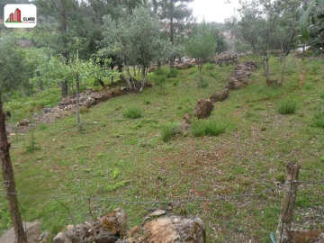 Terreno para Venda em Assafarge e Antanhol
