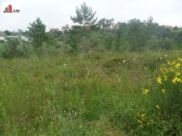 Terreno para Venda em Assafarge e Antanhol