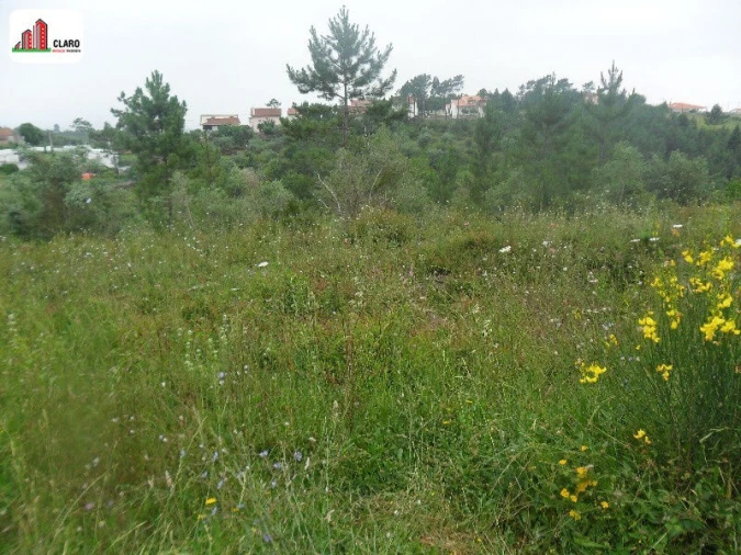 Terreno para Venda em Assafarge e Antanhol Foto 4