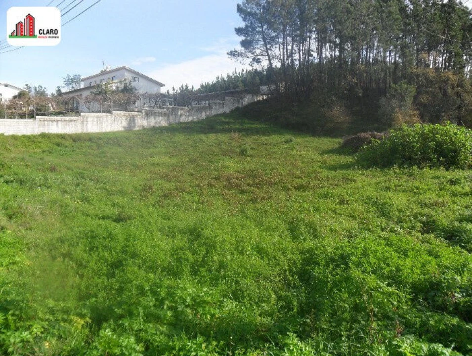 Terreno para Venda em Cernache Foto 4