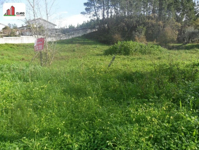 Terreno para Venda em Cernache Foto 3