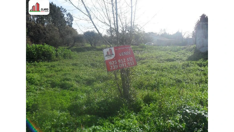 Terreno para Venda em Cernache