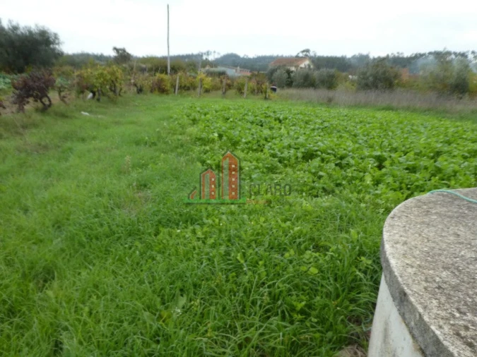 Terreno para Venda em Soure Foto 4