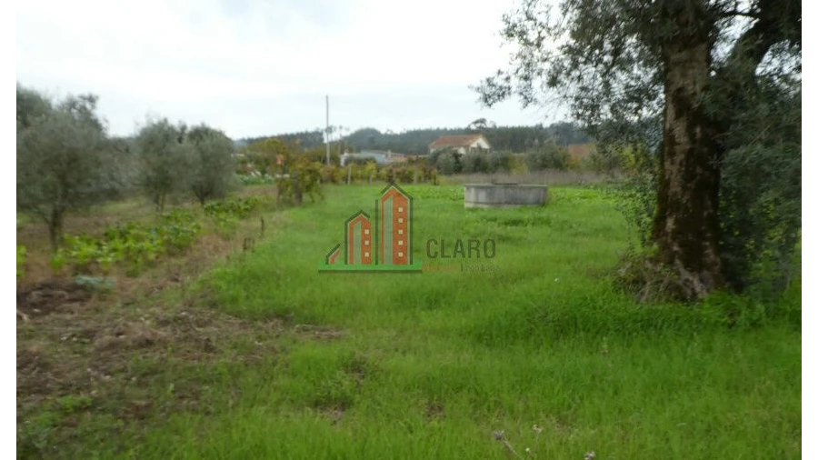 Terreno para Venda em Soure