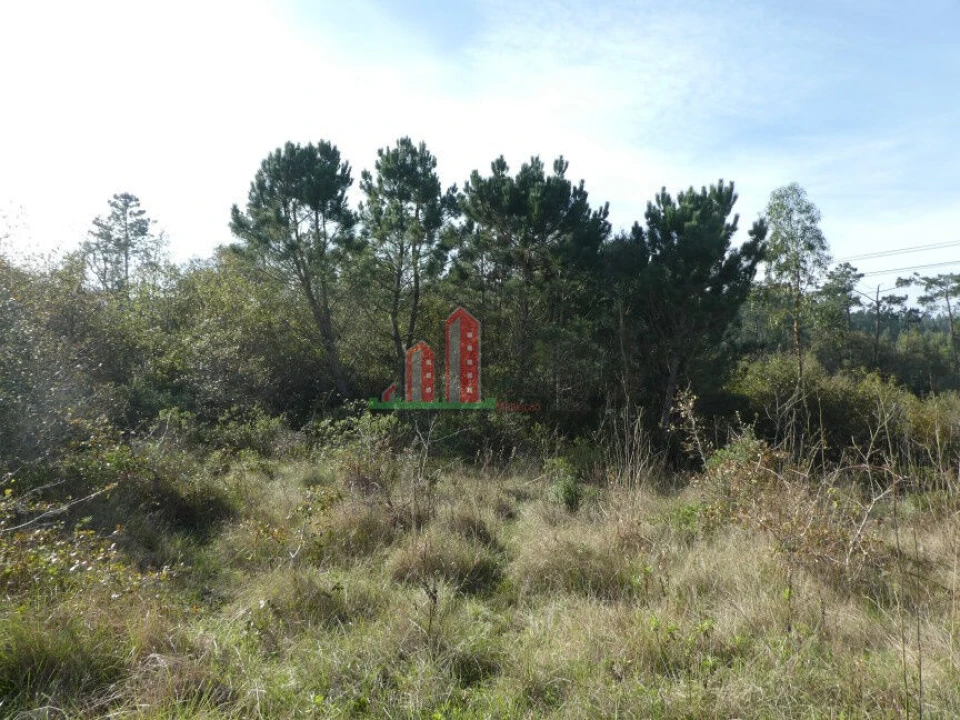 Terreno para Venda em Maiorca Foto 7