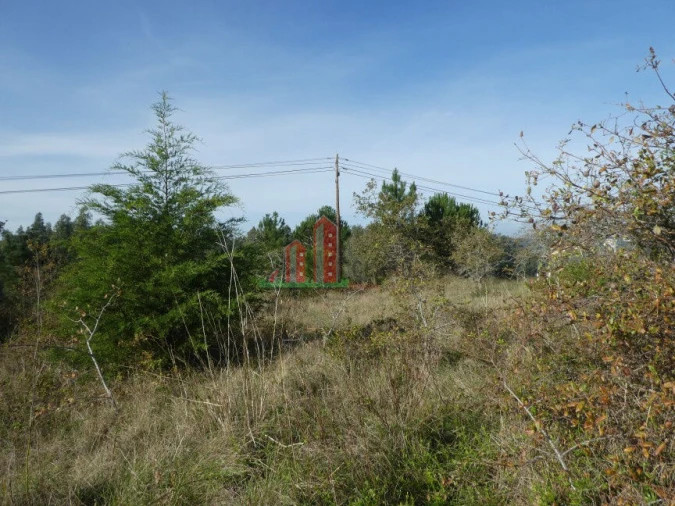 Terreno para Venda em Maiorca Foto 6
