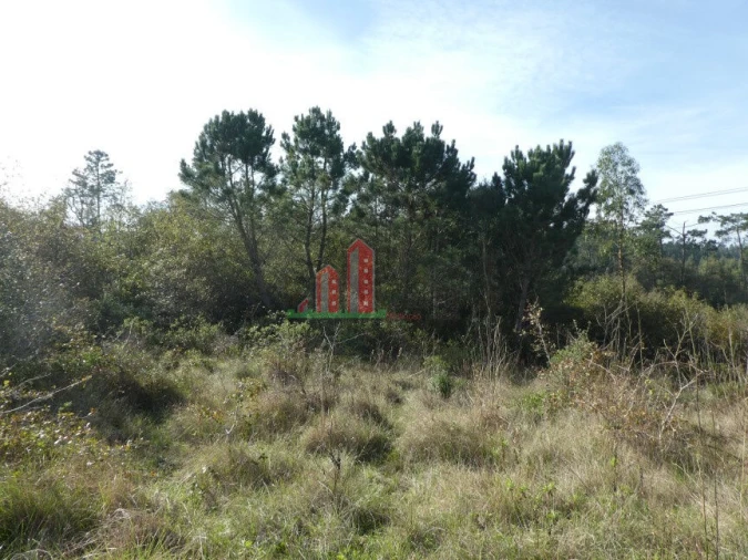 Terreno para Venda em Maiorca Foto 7