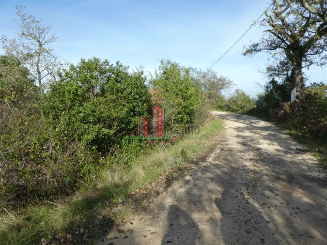 Terreno para Venda em Maiorca Foto 2