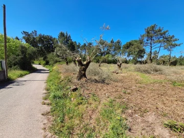 Terreno para Venda em Eiras e São Paulo de Frades